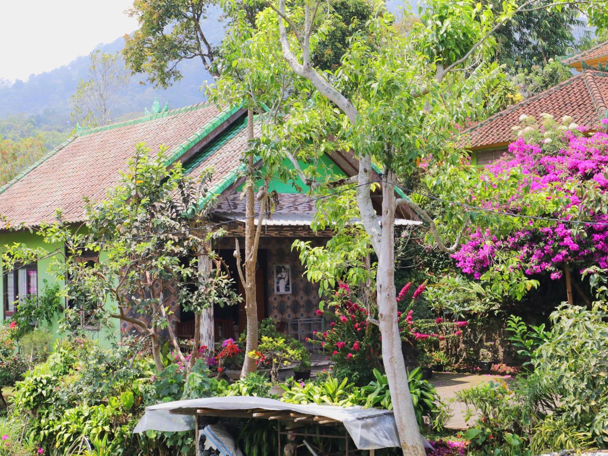 Dajan Buyan Homestay Bedugul  Exterior photo